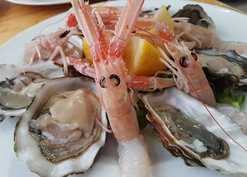 56839651_2405917712776020_2852334798280589312_n